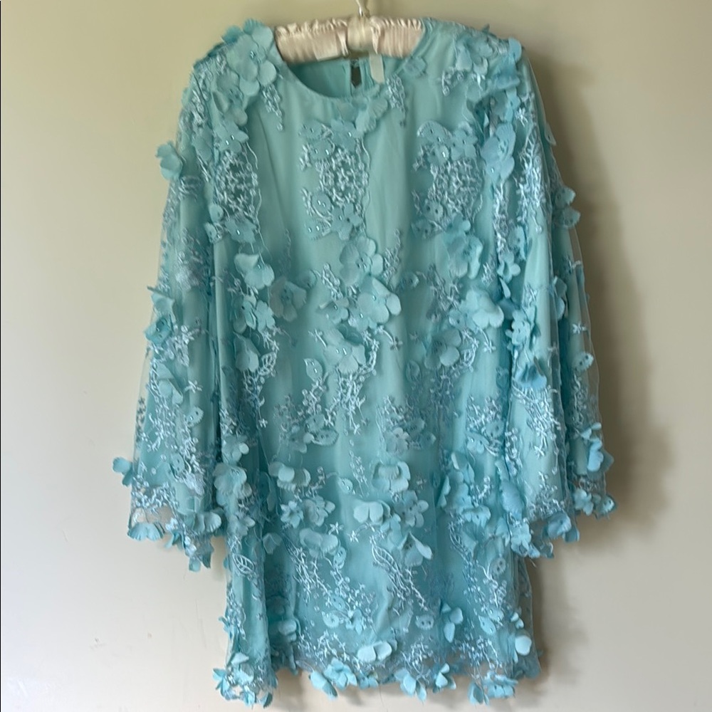 Free People Mestiza Floral Appliqué Dress